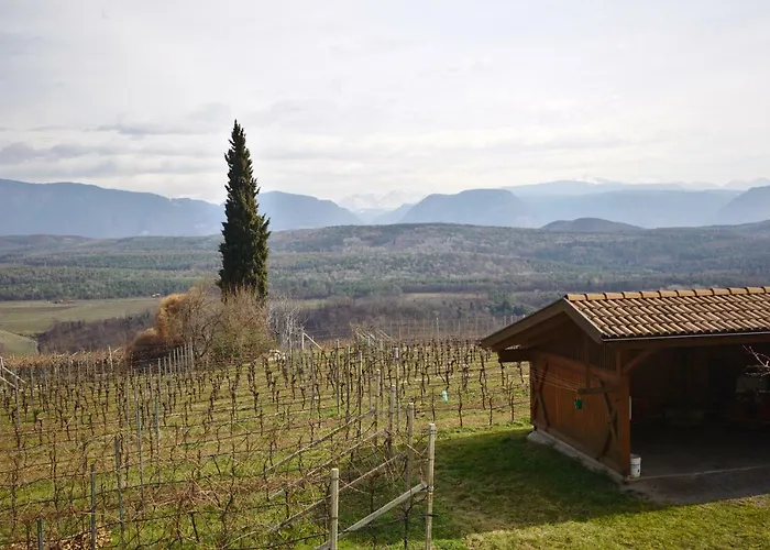 Weingut Hochleiten