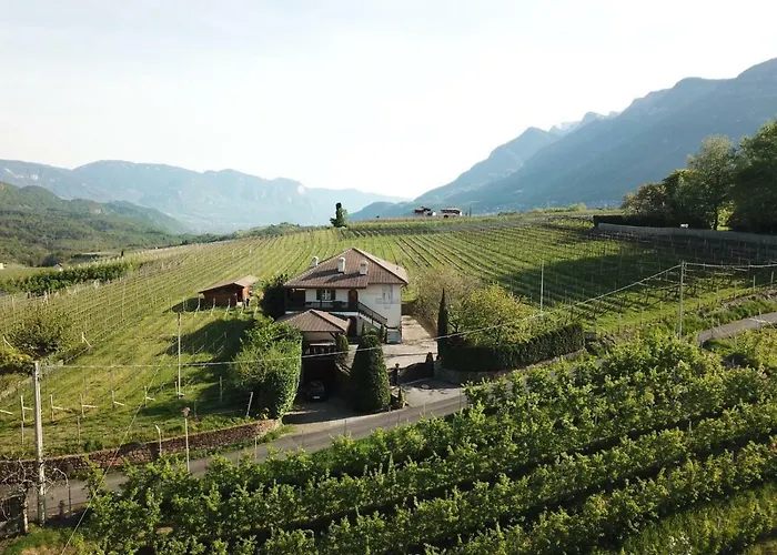 Weingut Hochleiten