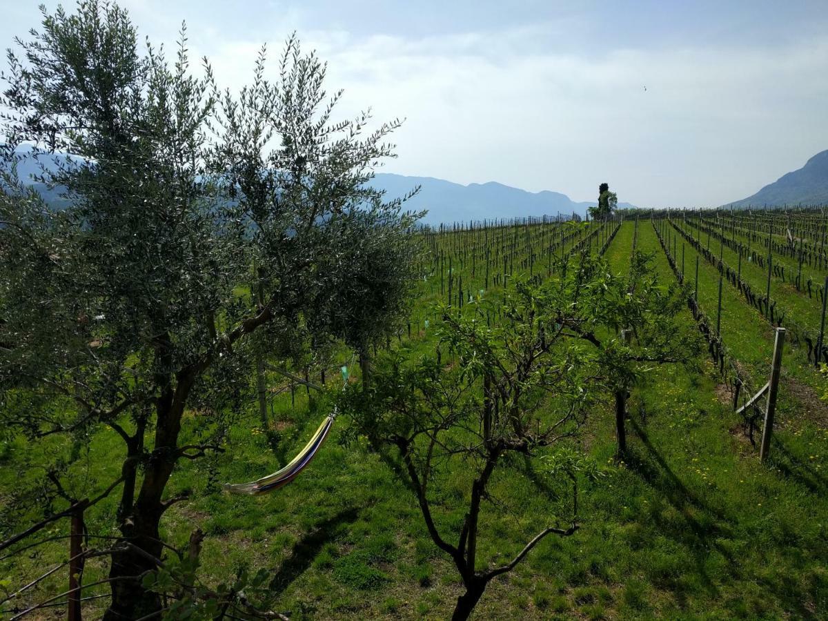 Apartment Weingut Hochleiten Caldaro